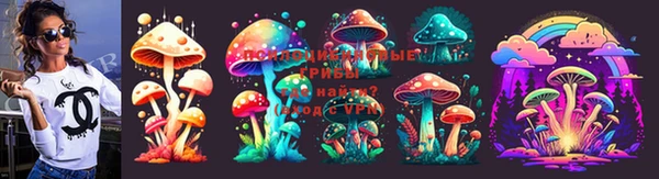 хмурый Новозыбков
