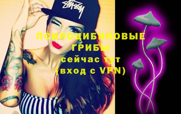 Альфа ПВП Новодвинск