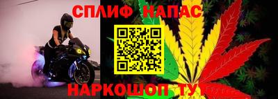 ГАЛЛЮЦИНОГЕННЫЕ ГРИБЫ Аргун