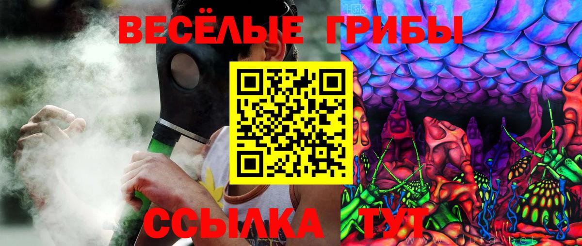 Псилоцибиновые грибы GOLDEN TEACHER Лениногорск