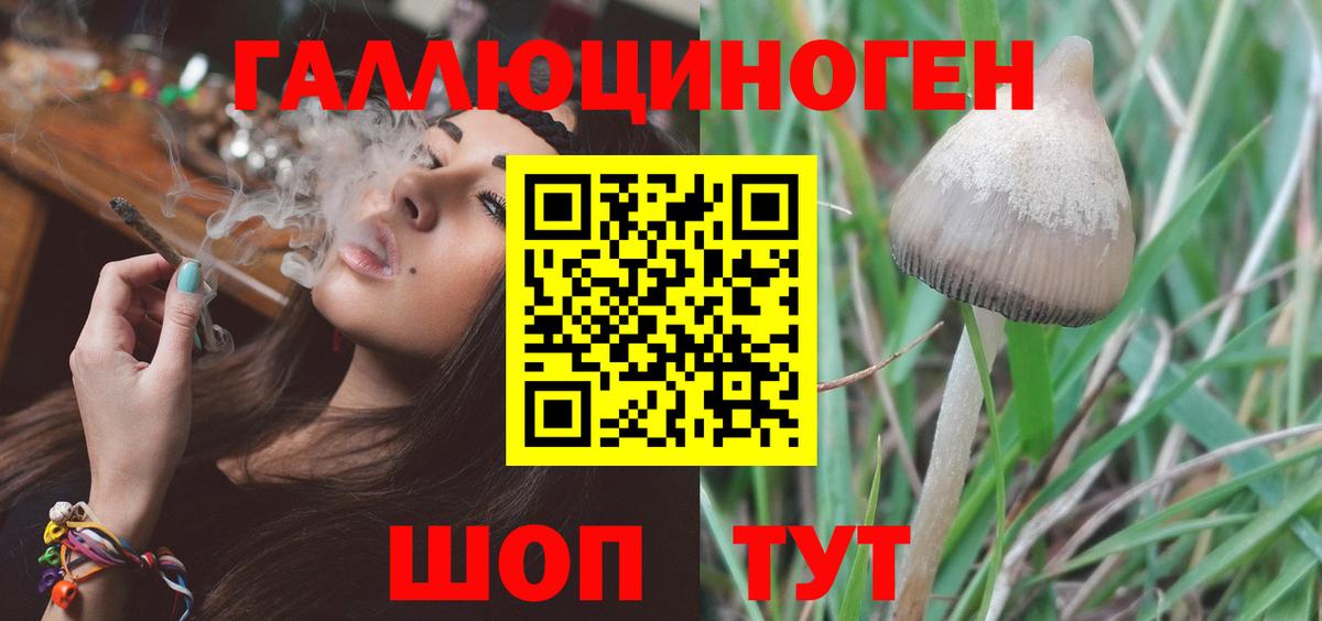 Галлюциногенные грибы ЛСД Лениногорск