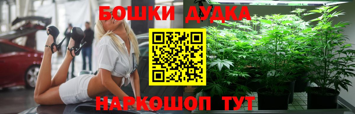 Бошки Шишки MAZAR Лениногорск